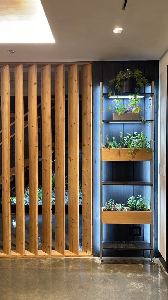 kodiak spruce slats with a herb garden