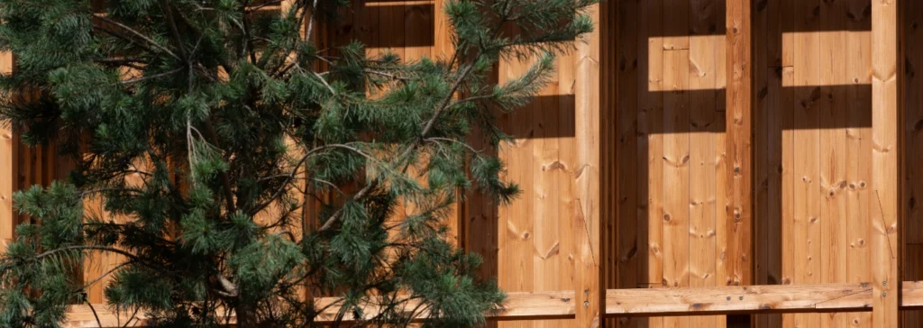 Thermory thermally modified benchmark pine wood