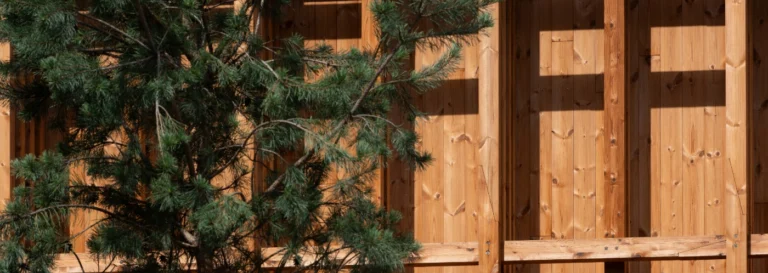 Thermory thermally modified benchmark pine wood