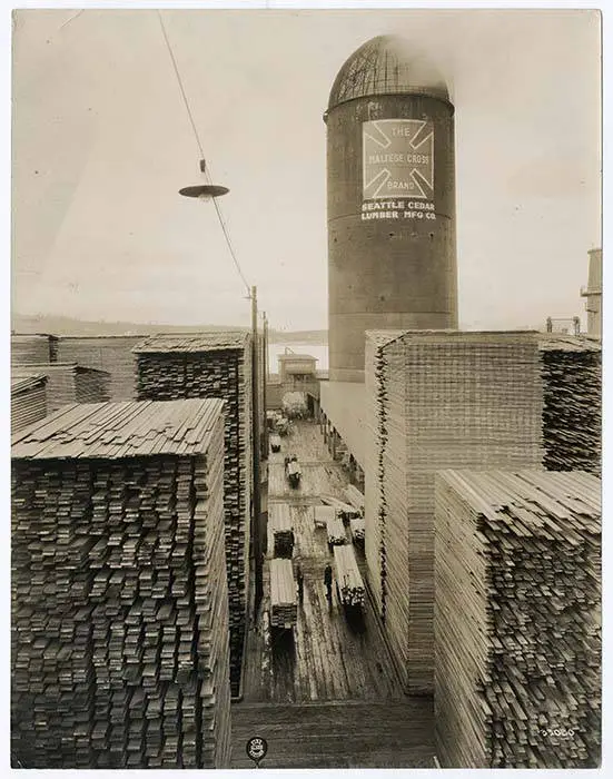 cedar drying stacks at seattle cedar lumber mfg co salmon bay seattle