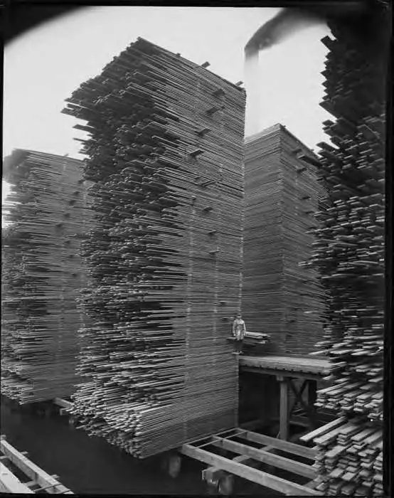 stacks of lumber drying at the seattle cedar lumber manufacturing companys