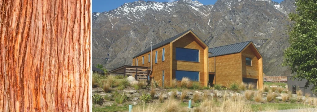 western red cedar next to a Thermory Benchmark Pine Cladding home