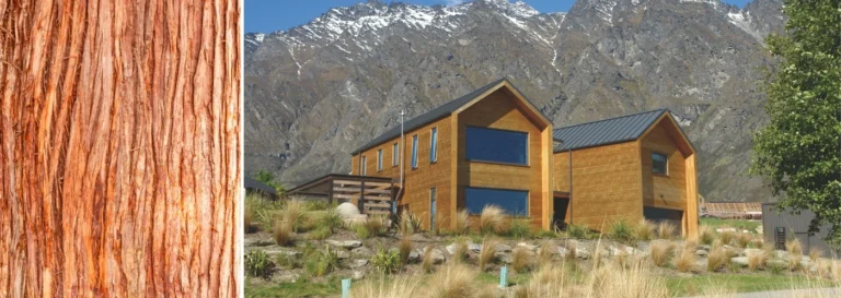 western red cedar next to a Thermory Benchmark Pine Cladding home